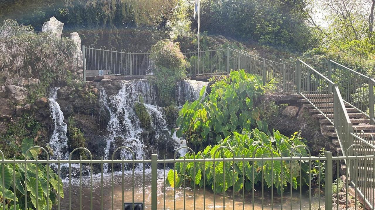צימר יערת הדבש Hagoshrim Exterior foto